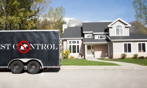 atlanta-ga-rodent-removal-urban-pest-1920w