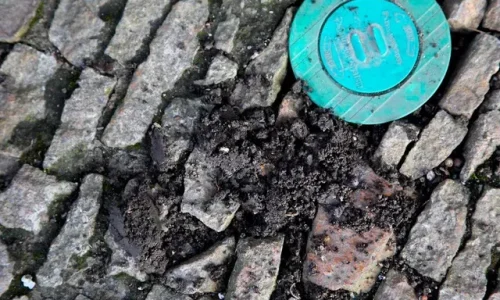 atlanta-termite-pre-treatment-control-urban-pest