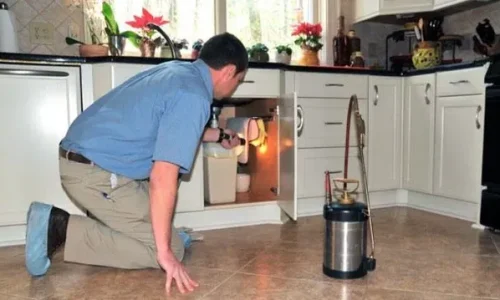 twice-a-year-pest-control-atlanta-exterminators